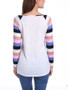 Casual Round Neck Striped Raglan Long Sleeve T-Shirt