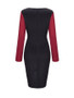 Casual Cowl Neck Color Block Long Sleeve Bodycon Dress