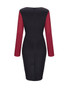 Casual Cowl Neck Color Block Long Sleeve Bodycon Dress