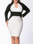Casual Color Block Long Sleeve Plus Size Bodycon Dress