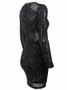 Black Sequin Detail Long Sleeve Mesh Mini Dress