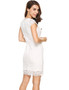 Casual White Cap Sleeve Lace V Neck Bodycon Dress