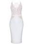 Casual Exquisite Spaghetti Strap Decorative Lace Bodycon Dress