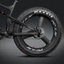 SN04 Fat Bike 3S Spoke Wheels