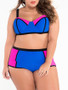 Casual Sexy Style Color Block Plus Size Bikini