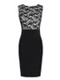 Casual Lace Patchwork Elegant Bodycon Dress