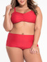 Casual Simple Style Plain Plus Size Swimwear