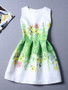 Casual Extraordinary Round Neck Printed Skater Dress