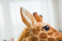 Giraffe Realistic Bendable Plush Soft Toy