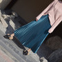 Pleated Maxi Skirt