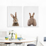 Nordic Style Poster Posters And Prints Rabbit Animal Wall Pictures For Living Room Mouse Wall Art Canvas Painting Unframed