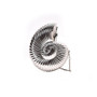 Conch Dinner Bag Women's Shoulder Crossbody Bag Acrylic Shell Evening Clutch