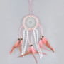 Purple Feather Wall Hanging Dream Catchers