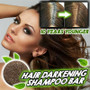 Hair Darkening Shampoo Bar - Natural Organic Conditioner and Repair Essence
