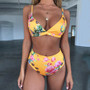 Wild Animal Printed High Waist Ladies Bikini Two-piece