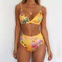 Wild Animal Printed High Waist Ladies Bikini Two-piece