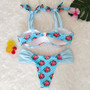 Resort Style Hang Neck Bow Color Block Bikini