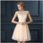 Sleeveless Party Wedding Mini Dress