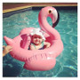 Baby Inflatable Flamingo Pool Float Pink Ride-On Swimming Ring White Swan Floating Water Holiday