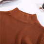 VenusFox Turtleneck long sleeve Slim-fit tight sweater Pullovers Sweaters