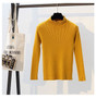 2018 Autumn Winter Women Pullovers Sweater Knitted Elasticity Casual Jumper Fashion Slim Turtleneck