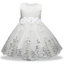 Summer Dress for Children Flower Girls Dress Party Wedding Dress Elegent Princess Vestidos