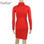 VenusFox Long Sleeve Turtleneck Mini Bodycon Dress