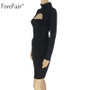 VenusFox Long Sleeve Turtleneck Mini Bodycon Dress