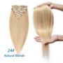 Clip-in Human Hair Extensions Straight 8pc Set