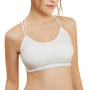 Sexy Sport Bras Push Up Gym Yoga Bra Quick Dry Padded Running Fitness Bra Athletic Underwear Tops | FajasShapewear.com