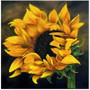 5D DIY Diamond Painting Kit - Realistic Sunflower