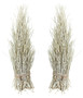 White Washed White Washed Coco Twig Sheaf - Set Of 2 - Style: 7466312