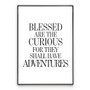 The Curious - Quotes Poster Wall Art