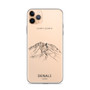 Denali Mountain  iPhone Case