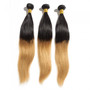 Straight ombre human hair (16 to 26 inches)