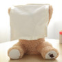 Adorable Peek A Boo Plush Toy