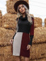 Women's Sweater Jumper Dress Knee Length Dress - Long Sleeve Color Block Patchwork Fall Winter Turtleneck Casual Slim Black S M L XL