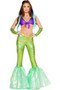 BFJFY Sexy Women's Mermaid Cosplay Costume For Halloween Carnival