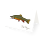 Beaver Pond Brook Trout