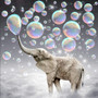 5D DIY Diamond Painting Elephant Blowing Bubbles - craft kit