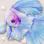 5D DIY Diamond Painting Soft Blue Betta Fish Drawing - craft kit