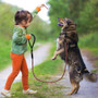 Nylon Reflective Dog Leash Pet Training Leashes Safety 6ft Long Mountain Climbing Rope Dog Lead For Small Medium Large Dogs