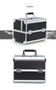 Suitcases women portable professional cosmetic bag large capacity travel makeup box manicure cosmetology case