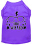 Little Wizard Screen Print Dog Shirt