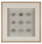 White / Natural Shells Sea Urchin Wall Decor - Style: 7498070