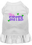 Big Sister Screen Print Dog Dress