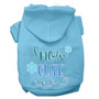 Snow Cute Screen Print Dog Hoodie