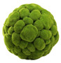 Moss Green Large Moss Sphere - Style: 7314394