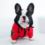 NY Dog Winter Clothes Hood Coat | Niceydoggy 149#