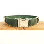 Lovely GREEN DAY dog collar 5 sizes